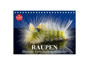 9783435528165 - Raupen Skurrile Verwandlungskünstler (Tischkalender 2025 DIN A5 quer) CALVENDO Monatskalender