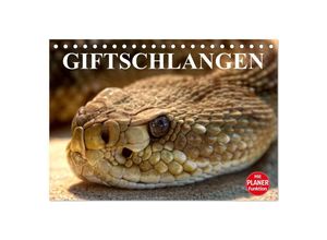 9783435528226 - Giftschlangen (Tischkalender 2025 DIN A5 quer) CALVENDO Monatskalender