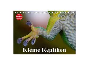 9783435528233 - Kleine Reptilien (Tischkalender 2025 DIN A5 quer) CALVENDO Monatskalender