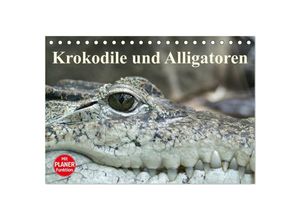 9783435528288 - Krokodile und Alligatoren (Tischkalender 2025 DIN A5 quer) CALVENDO Monatskalender