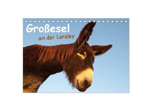 9783435528301 - Großesel an der Loreley (Tischkalender 2025 DIN A5 quer) CALVENDO Monatskalender