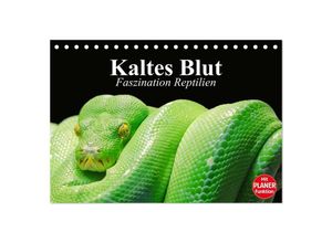 9783435528325 - Kaltes Blut Faszination Reptilien (Tischkalender 2025 DIN A5 quer) CALVENDO Monatskalender