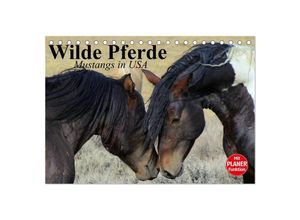 9783435528417 - Wilde Pferde Mustangs in USA (Tischkalender 2025 DIN A5 quer) CALVENDO Monatskalender