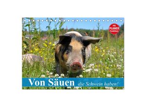 9783435529421 - Von Säuen die Schwein haben! (Tischkalender 2025 DIN A5 quer) CALVENDO Monatskalender