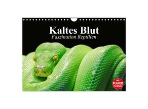 9783435529711 - Kaltes Blut Faszination Reptilien (Wandkalender 2025 DIN A4 quer) CALVENDO Monatskalender