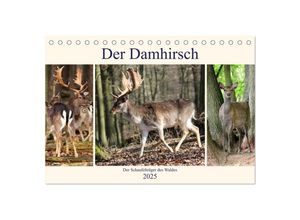 9783435529735 - Der Damhirsch - Der Schaufelträger des Waldes (Tischkalender 2025 DIN A5 quer) CALVENDO Monatskalender