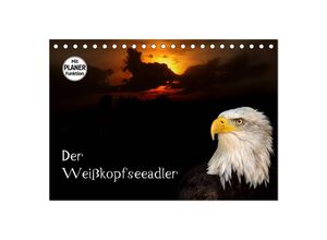 9783435529933 - Der Weißkopfseeadler (Tischkalender 2025 DIN A5 quer) CALVENDO Monatskalender