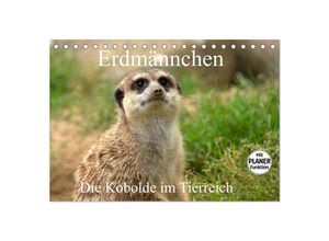 9783435530182 - Erdmännchen - Die Kobolde im Tierreich (Tischkalender 2025 DIN A5 quer) CALVENDO Monatskalender