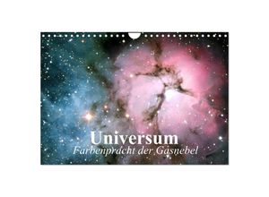 9783435530519 - Universum Farbenpracht der Gasnebel (Wandkalender 2025 DIN A4 quer) CALVENDO Monatskalender