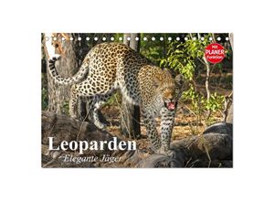 9783435530526 - Leoparden Elegante Jäger (Tischkalender 2025 DIN A5 quer) CALVENDO Monatskalender