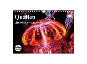 9783435530632 - Quallen Ätherische Wunderwesen (Wandkalender 2025 DIN A4 quer) CALVENDO Monatskalender