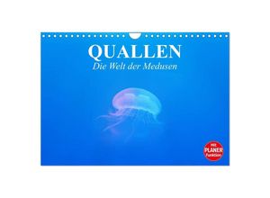 9783435530700 - Quallen Die Welt der Medusen (Wandkalender 2025 DIN A4 quer) CALVENDO Monatskalender