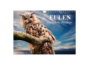 9783435530731 - Eulen Gefiederte Weisheit (Wandkalender 2025 DIN A4 quer) CALVENDO Monatskalender