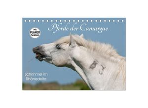 9783435531387 - Pferde der Camargue - Schimmel im Rhônedelta (Tischkalender 2025 DIN A5 quer) CALVENDO Monatskalender