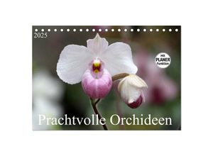 9783435531707 - Prachtvolle Orchideen (Tischkalender 2025 DIN A5 quer) CALVENDO Monatskalender