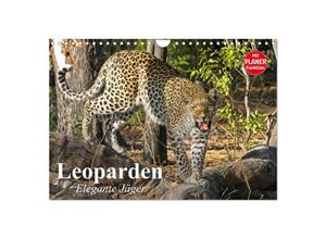 9783435531745 - Leoparden Elegante Jäger (Wandkalender 2025 DIN A4 quer) CALVENDO Monatskalender