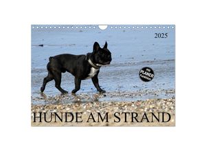 9783435533183 - HUNDE AM STRAND (Wandkalender 2025 DIN A4 quer) CALVENDO Monatskalender