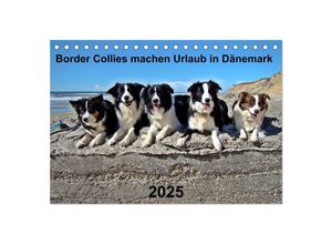 9783435533893 - Border Collies machen Urlaub in Dänemark (Tischkalender 2025 DIN A5 quer) CALVENDO Monatskalender