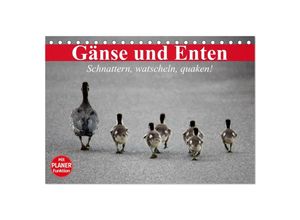 9783435533961 - Gänse und Enten Schnattern watscheln quaken! (Tischkalender 2025 DIN A5 quer) CALVENDO Monatskalender