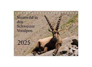 9783435534838 - Steinwild in den Schweizer Voralpen (Tischkalender 2025 DIN A5 quer) CALVENDO Monatskalender