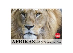 9783435535118 - Afrikas wilde Schönheiten (Wandkalender 2025 DIN A4 quer) CALVENDO Monatskalender