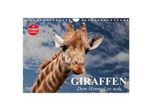 9783435535330 - Giraffen Dem Himmel so nah (Wandkalender 2025 DIN A4 quer) CALVENDO Monatskalender