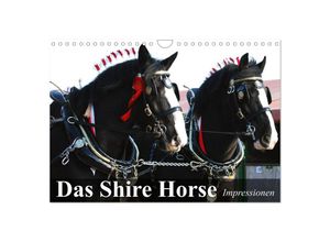 9783435535514 - Das Shire Horse Impressionen (Wandkalender 2025 DIN A4 quer) CALVENDO Monatskalender