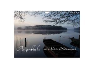 9783435536306 - Augenblicke im Müritz Nationalpark (Wandkalender 2025 DIN A4 quer) CALVENDO Monatskalender