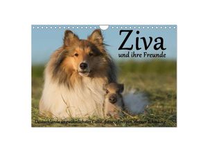 9783435537235 - Ziva und ihre Freunde (Wandkalender 2025 DIN A4 quer) CALVENDO Monatskalender