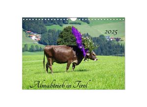 9783435537310 - Almabtrieb in Tirol (Wandkalender 2025 DIN A4 quer) CALVENDO Monatskalender