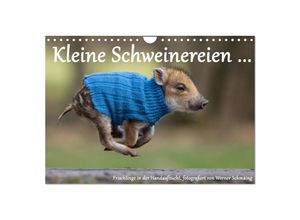 9783435537358 - Kleine Schweinereien (Wandkalender 2025 DIN A4 quer) CALVENDO Monatskalender