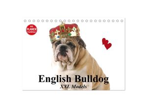 9783435538232 - English Bulldog XXL Models (Tischkalender 2025 DIN A5 quer) CALVENDO Monatskalender