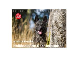 9783435539192 - ausdrucksvolle Holländische Schäferhunde (Tischkalender 2025 DIN A5 quer) CALVENDO Monatskalender