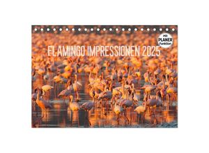 9783435541089 - Flamingo Impressionen 2025 (Tischkalender 2025 DIN A5 quer) CALVENDO Monatskalender