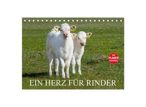 9783435541300 - Ein Herz für Rinder (Tischkalender 2025 DIN A5 quer) CALVENDO Monatskalender