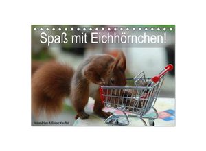 9783435583065 - Spaß mit Eichhörnchen! (Tischkalender 2025 DIN A5 quer) CALVENDO Monatskalender