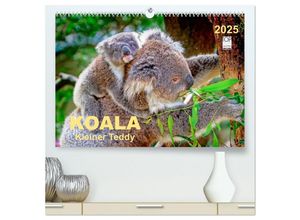 9783435583409 - Koala - kleiner Teddy (hochwertiger Premium Wandkalender 2025 DIN A2 quer) Kunstdruck in Hochglanz