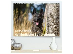 9783435583485 - ausdrucksvolle Holländische Schäferhunde (hochwertiger Premium Wandkalender 2025 DIN A2 quer) Kunstdruck in Hochglanz