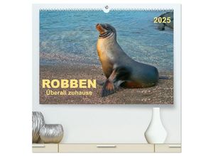 9783435584734 - Robben - überall zuhause (hochwertiger Premium Wandkalender 2025 DIN A2 quer) Kunstdruck in Hochglanz