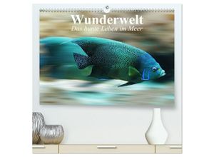 9783435585076 - Wunderwelt Das bunte Leben im Meer (hochwertiger Premium Wandkalender 2025 DIN A2 quer) Kunstdruck in Hochglanz