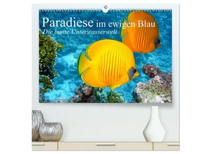 9783435585151 - Paradiese im ewigen Blau Die bunte Unterwasserwelt (hochwertiger Premium Wandkalender 2025 DIN A2 quer) Kunstdruck in Hochglanz