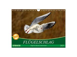 9783435586868 - Flügelschlag - Vögel in ihrem natürlichen Lebensraum (Wandkalender 2025 DIN A4 quer) CALVENDO Monatskalender