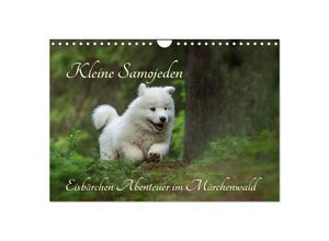 9783435587087 - Kleine Samojeden - Eisbärchen Abenteuer im Märchenwald (Wandkalender 2025 DIN A4 quer) CALVENDO Monatskalender