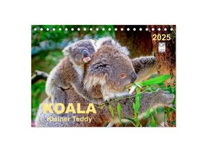 9783435587407 - Koala - kleiner Teddy (Tischkalender 2025 DIN A5 quer) CALVENDO Monatskalender