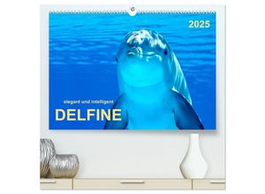 9783435587742 - Delfine - elegant und intelligent (hochwertiger Premium Wandkalender 2025 DIN A2 quer) Kunstdruck in Hochglanz