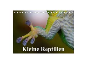 9783435588497 - Kleine Reptilien (Tischkalender 2025 DIN A5 quer) CALVENDO Monatskalender