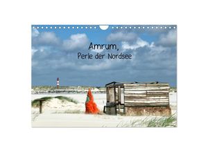 9783435589029 - Amrum Perle der Nordsee (Wandkalender 2025 DIN A4 quer) CALVENDO Monatskalender