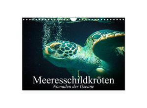 9783435589357 - Meeresschildkröten Nomaden der Ozeane (Wandkalender 2025 DIN A4 quer) CALVENDO Monatskalender