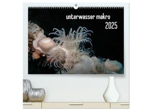 9783435590452 - unterwasser makro 2025 (hochwertiger Premium Wandkalender 2025 DIN A2 quer) Kunstdruck in Hochglanz