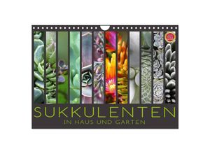 9783435590865 - Sukkulenten in Haus und Garten (Wandkalender 2025 DIN A4 quer) CALVENDO Monatskalender